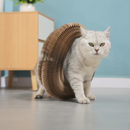 Interactive Cat Toy Scratching Board with Bell for Fun Play