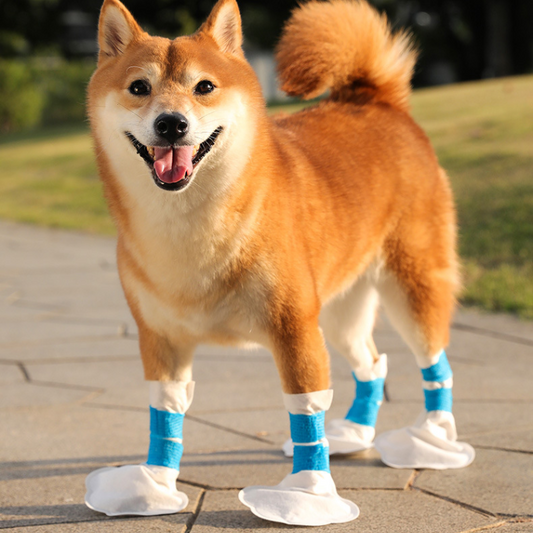 Durable Pet Paw Disposable Covers for Easy Clean-Up