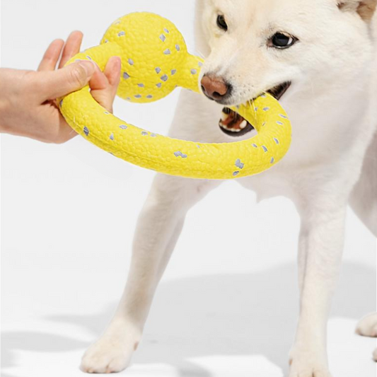 Durable Dog Chew Ring Balls - Fun Interactive Toy