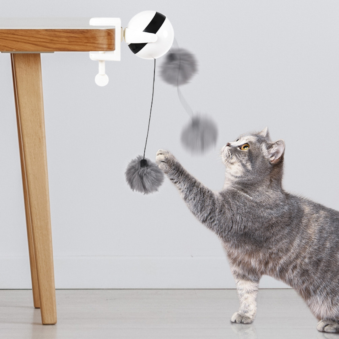 Interactive Retractable Feather Cat Toy for Endless Fun