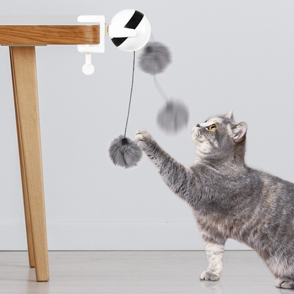 Interactive Retractable Feather Cat Toy for Endless Fun
