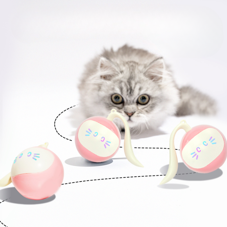 Interactive Smart Magic Ball Cat Toy for Endless Fun