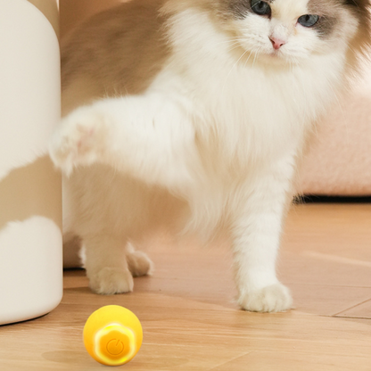 Interactive Automatic Cat Toy for Endless Fun