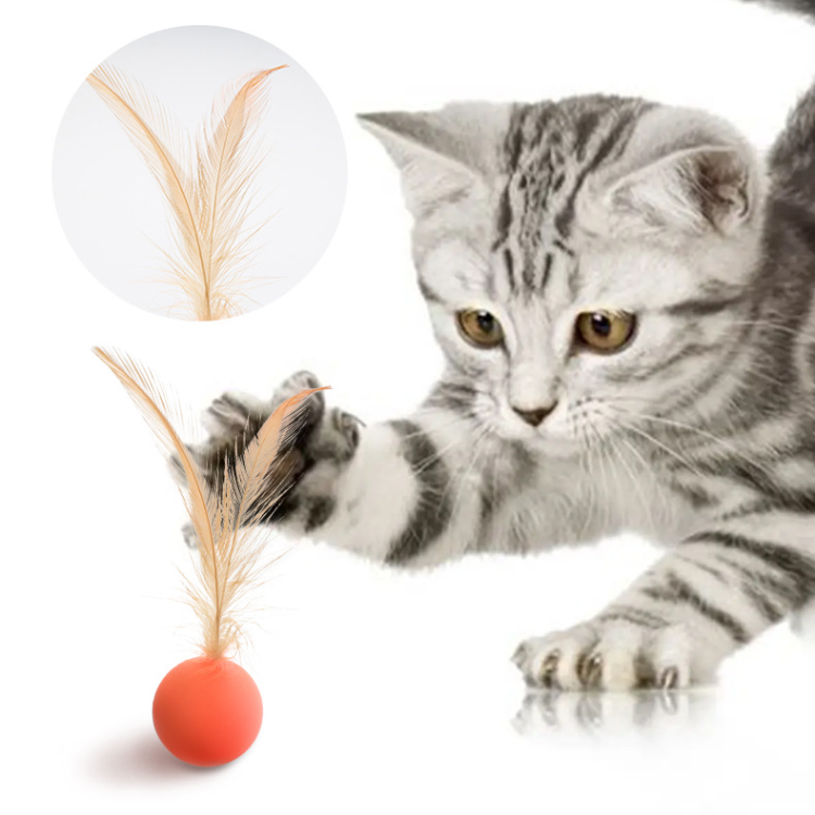 Interactive Elastic Jumping Ball Toy for Fun Playtime