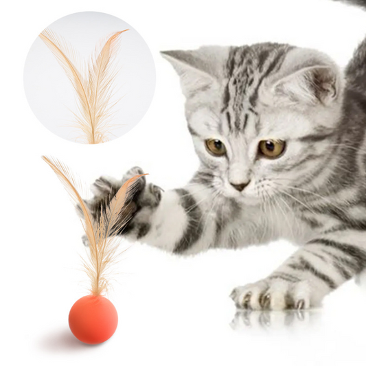 Interactive Elastic Jumping Ball Toy for Fun Playtime