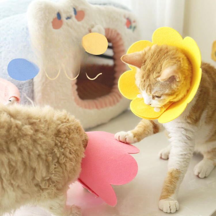 Flower Plush Anti-Licking Collar - Soft & Comfortable Pet Accessory