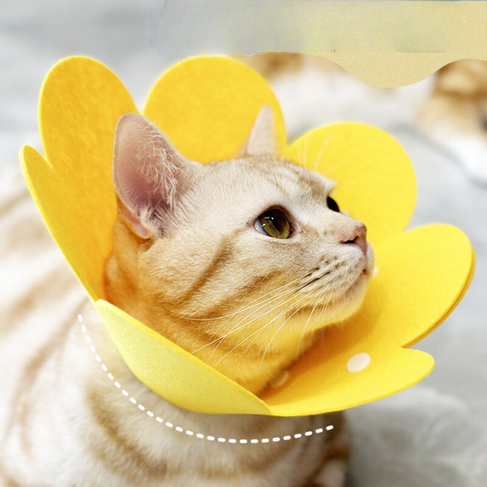 Flower Plush Anti-Licking Collar - Soft & Comfortable Pet Accessory