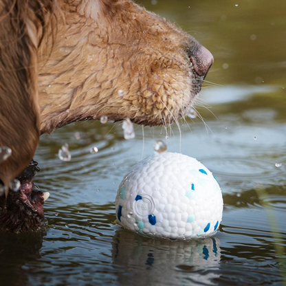 Durable Dog Chewing Ball Toy - Fun & Interactive Play!
