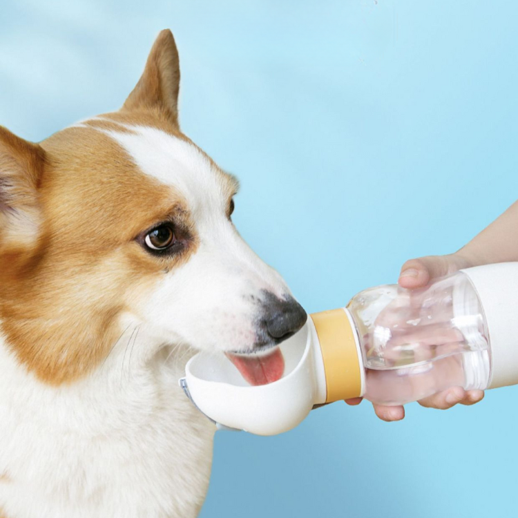 Portable Pet Water Bottle - Travel-Friendly & Leak-Proof