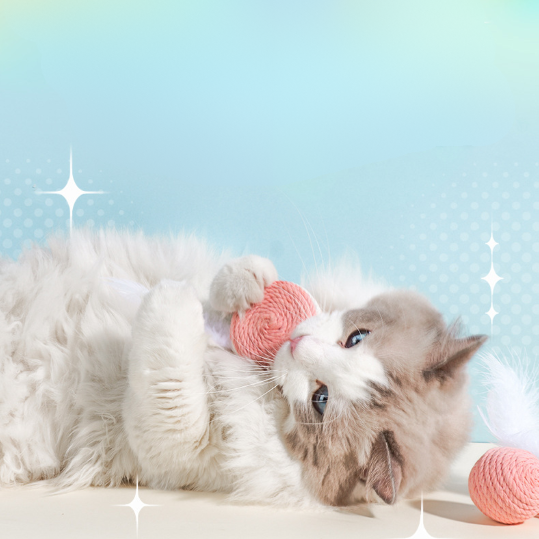 Interactive Cat Toy: Feather Rope with Sound for Endless Fun