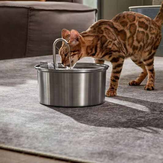 Durable Stainless Steel Pet Water Fountain for Fresh Hydration