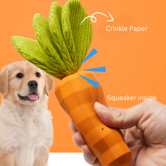 Durable Dog Toy: Crinkle Paper Squeaker for Fun Playtime