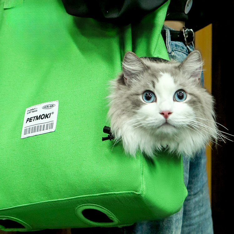 Durable Cat Canvas Tote Bag for Easy Travel & Walking