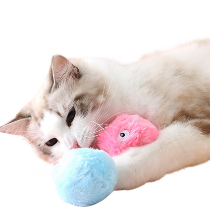 Interactive Cat Toy Balls for Endless Fun and Play