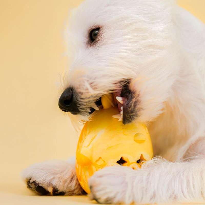 Interactive Dog Toy: Leaking Ball for Fun Playtime