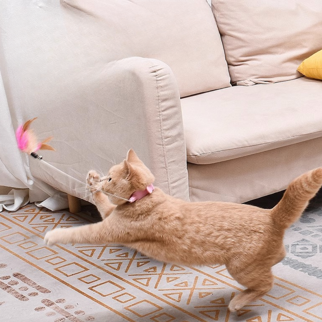 Interactive Cat Feather Teaser Toy for Engaging Playtime