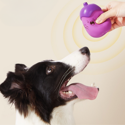 Durable Dog Chew Toy with Squeaker for Interactive Fun