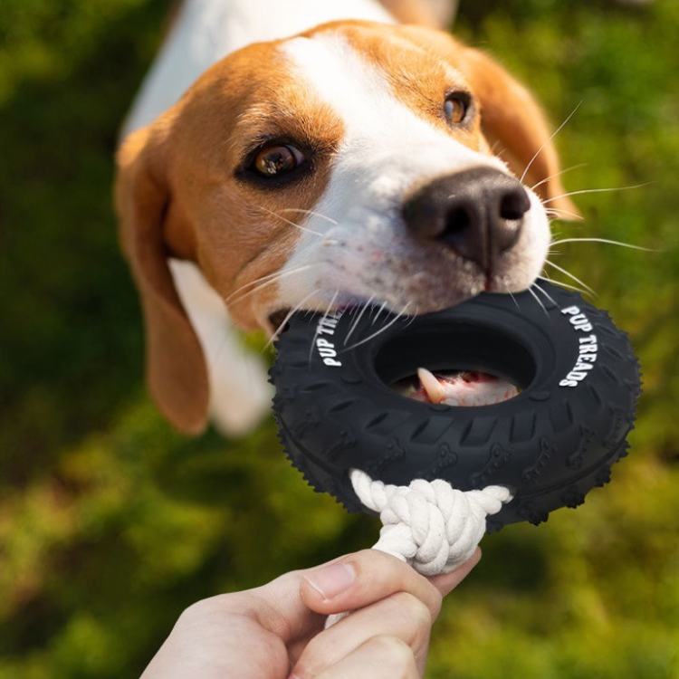 Durable Dog Tug Toy: Interactive Chew & Play Rope