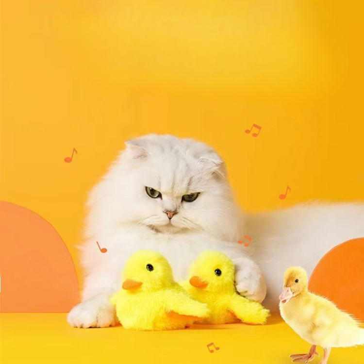 Interactive Soft Duck Cat Toy for Endless Fun