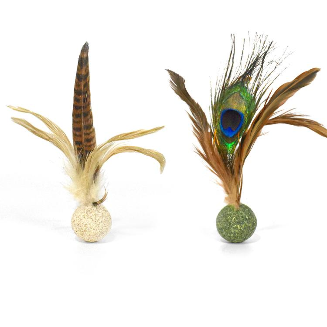 Interactive Catnip Ball Toy with Feather for Fun Playtime