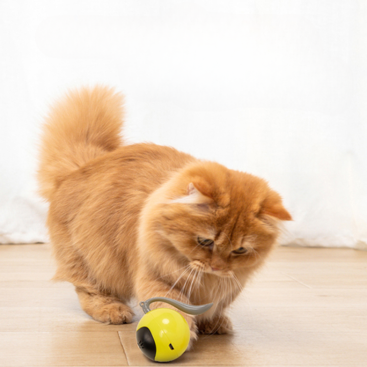 Interactive Smart Magic Ball Cat Toy for Endless Fun
