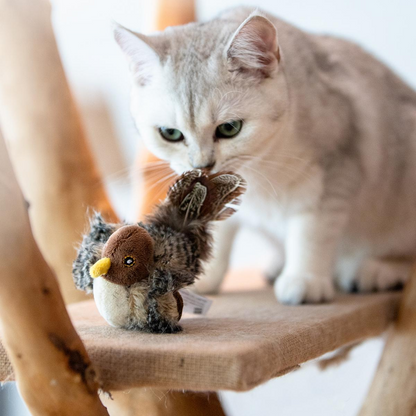Interactive Bird Squeaker Toys for Cats and Dogs