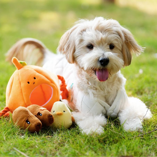 Interactive Plush Pumpkin Dog Toy for Chewing Fun