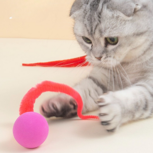 Interactive Elastic Ball Caterpillar Cat Toys for Endless Fun
