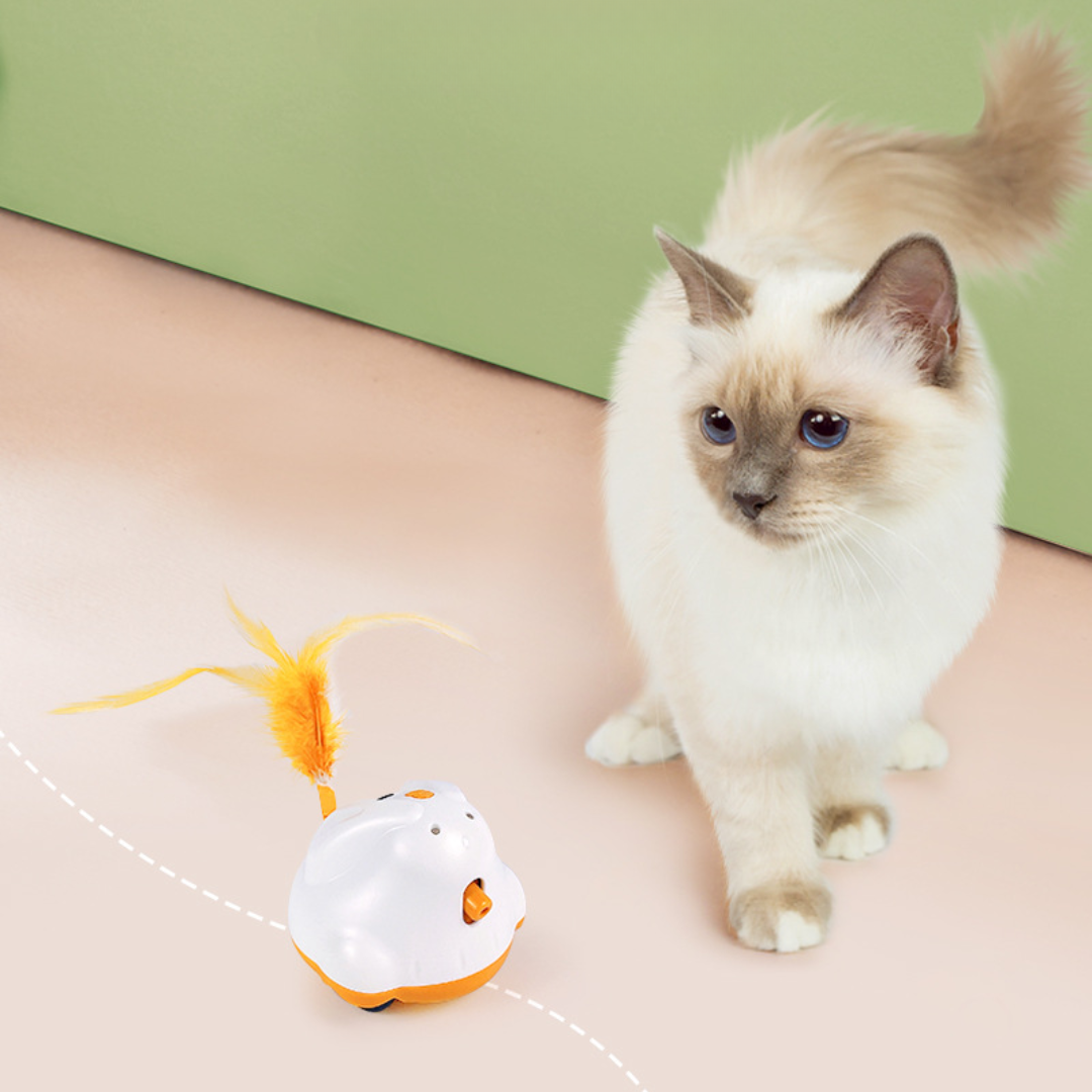 Interactive Cat Toy with Feather Teaser & Laser Light Fun