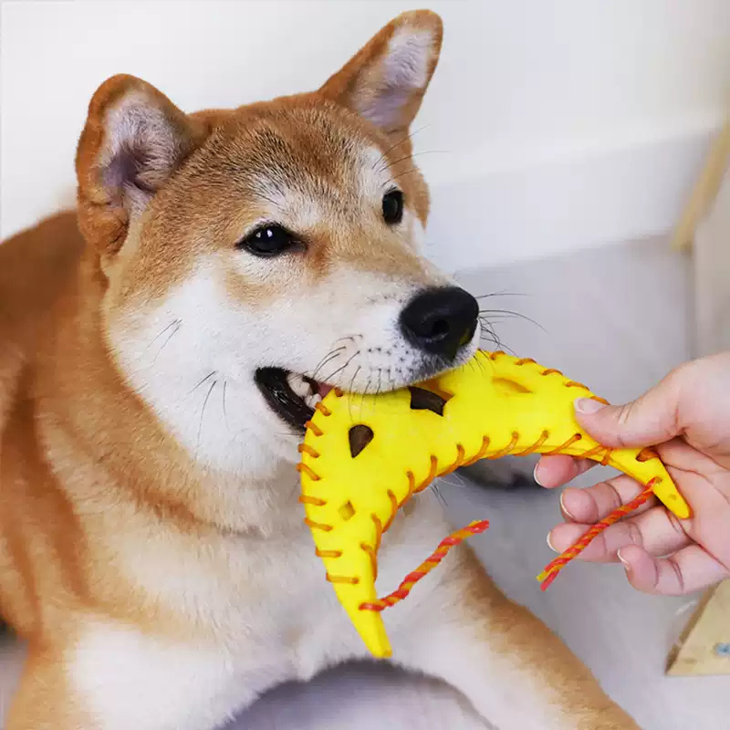 Durable Chew-Resistant Dog Toy for Fun Playtime