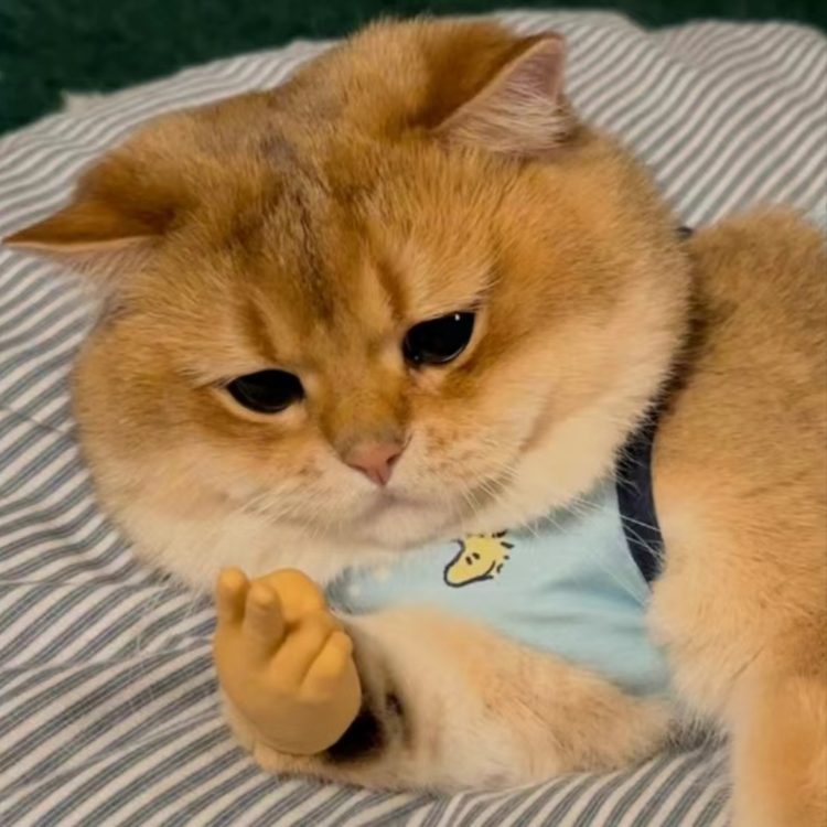 Fun Cat Paw Silicone Gloves - Durable Pet Costume Accessory