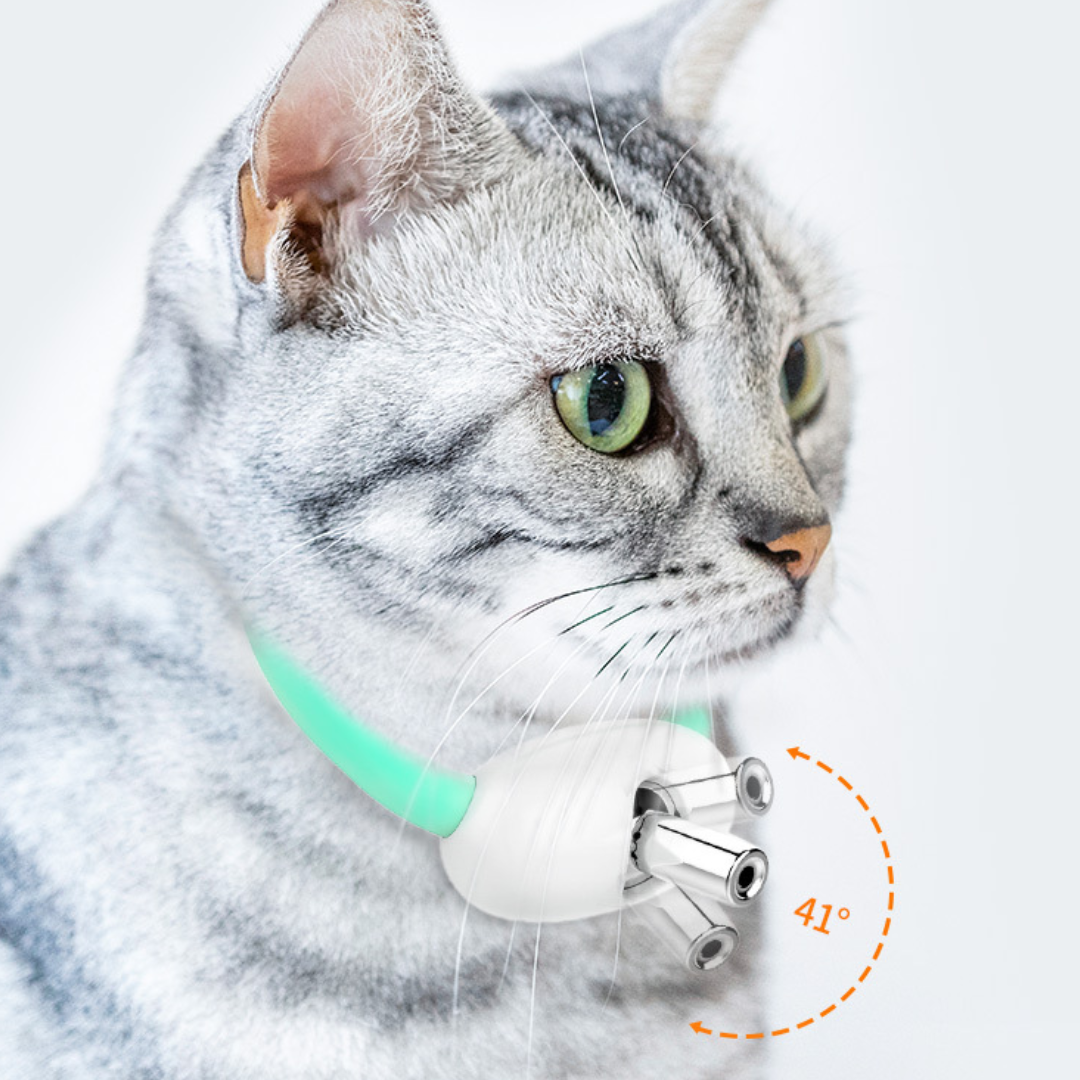 Interactive Cat Toy: Laser Light Collar for Endless Fun