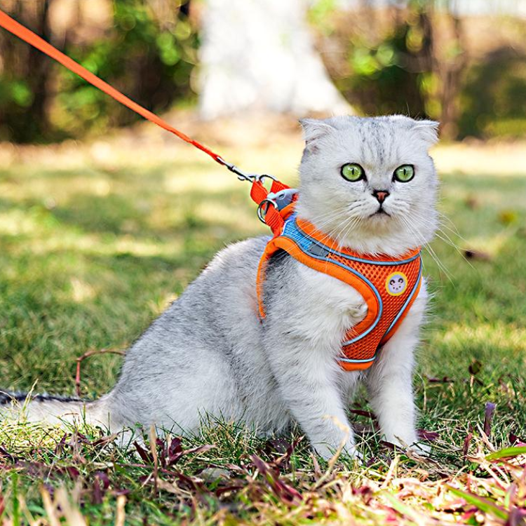 Durable Reflective Cat Harness & Leash for Safe Walks