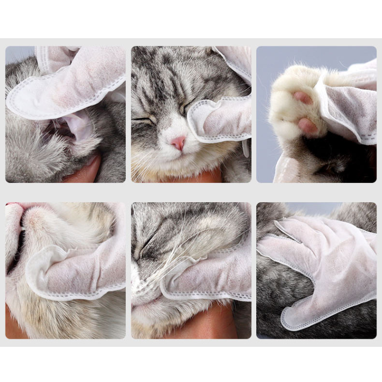 Pet Grooming Tool: Convenient Disposable Glove Wipes