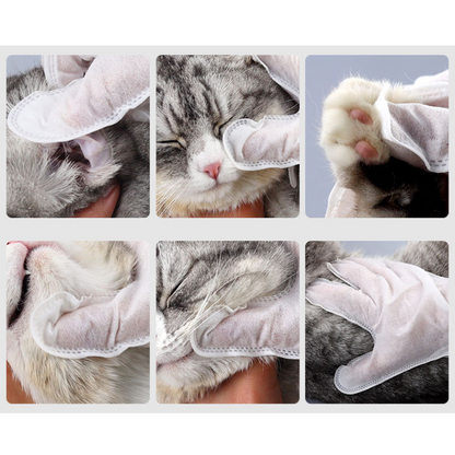 Pet Grooming Tool: Convenient Disposable Glove Wipes