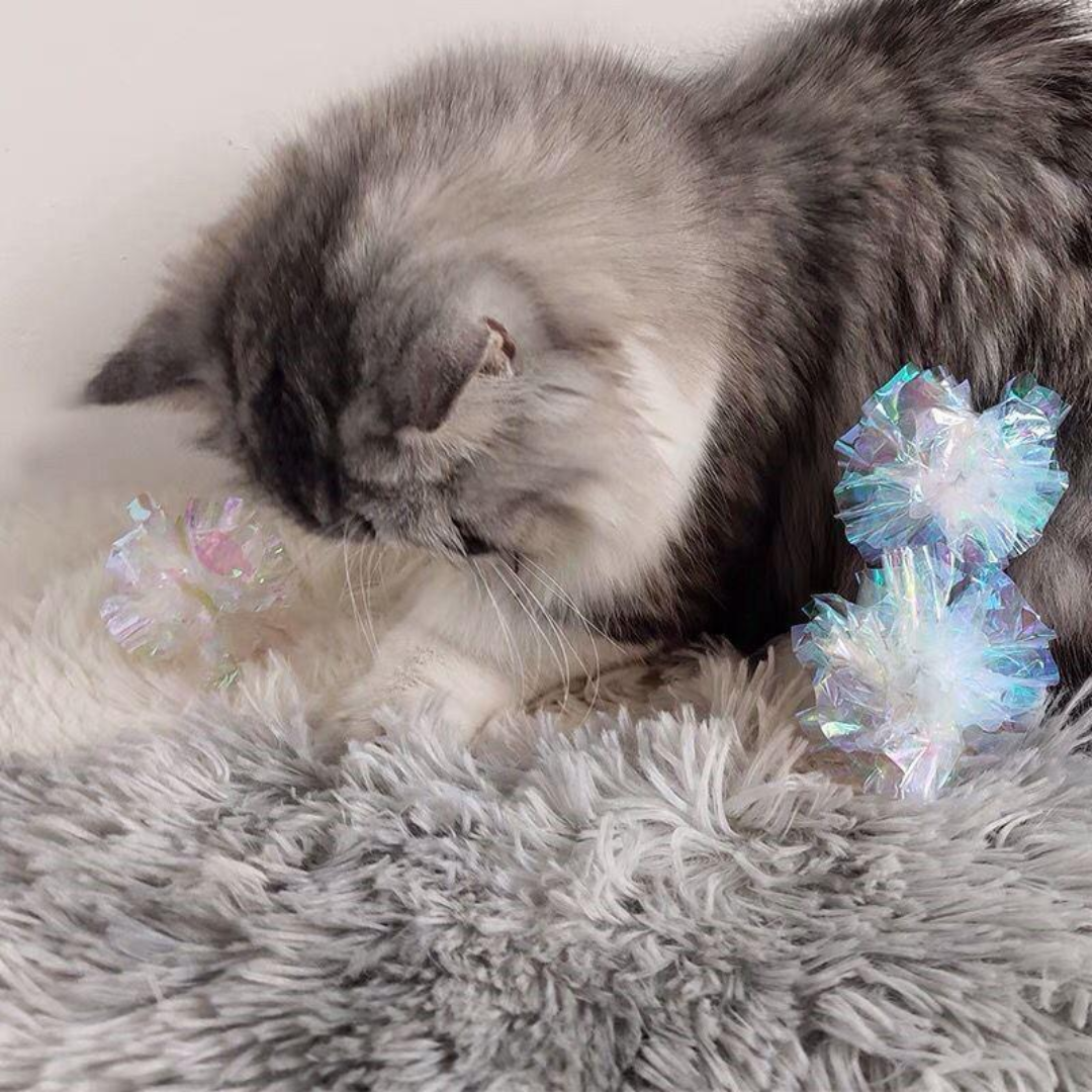 Interactive Crinkle Balls - Fun Indoor Cat Toy