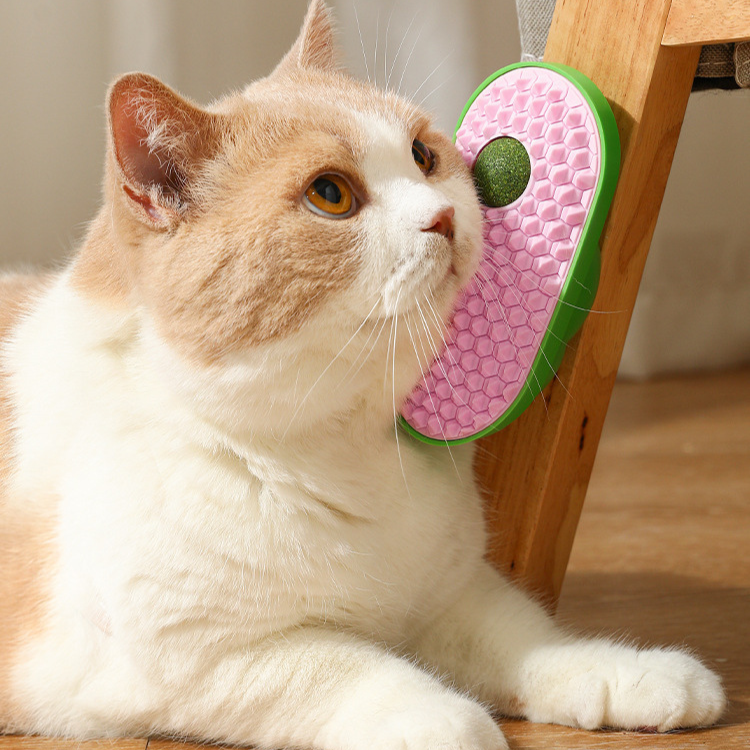 Avocado Catnip Grooming Brush - Fun Pet Grooming Tool