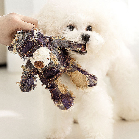 Interactive Beggar Bear Dog Toy - Fun Sound for Playtime!