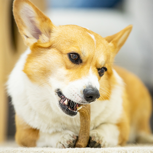Durable Chew-Resistant Dog Toy - Pet Friendly Fun!