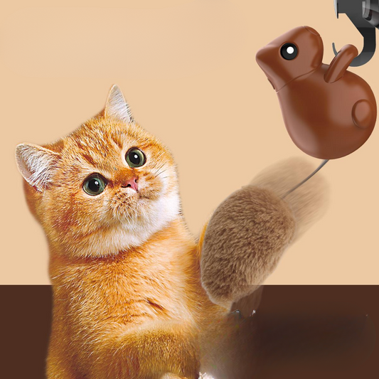 Interactive Cat Toy: Fun Hanging Squirrel Teaser for Play