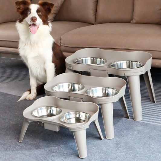 Durable Stainless Steel Dog Bowl with Sturdy Stand