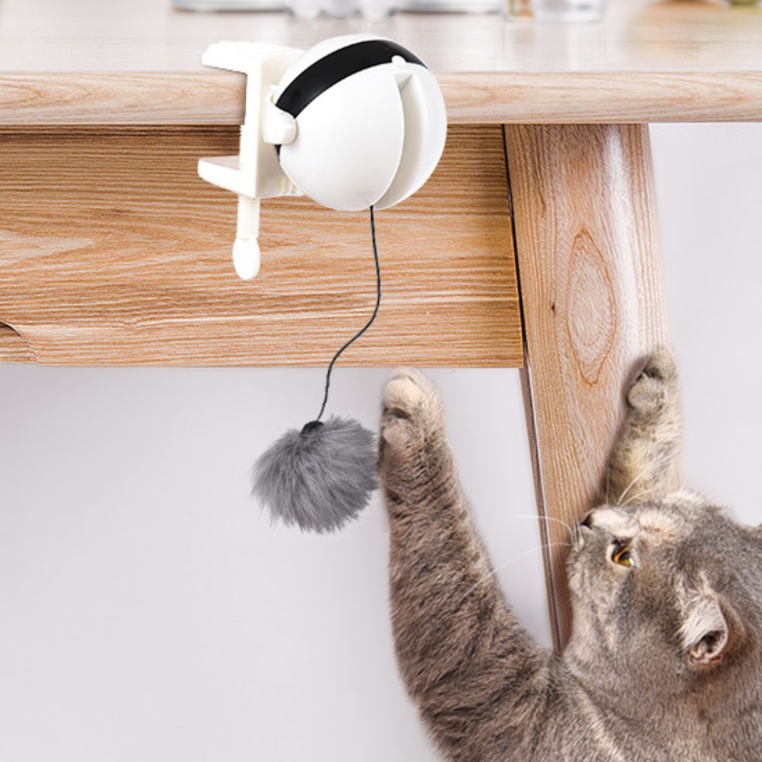 Interactive Retractable Feather Cat Toy for Endless Fun