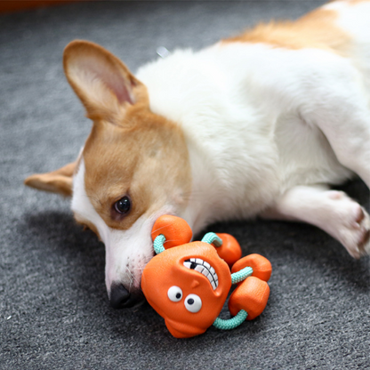 Durable Rubber Squeaker Dog Toys for Interactive Fun
