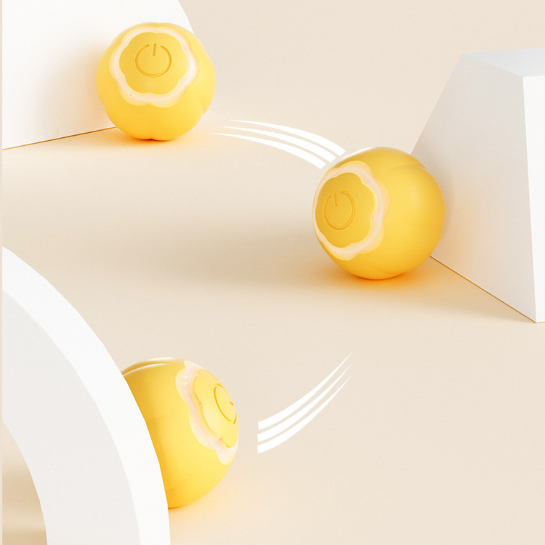 Interactive Automatic Cat Toy for Endless Fun