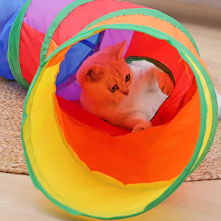 Interactive Foldable Cat Toy Tunnel for Indoor Fun