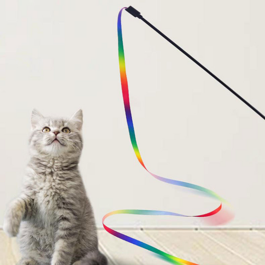 Interactive Rainbow Ribbon Cat Toy for Endless Fun
