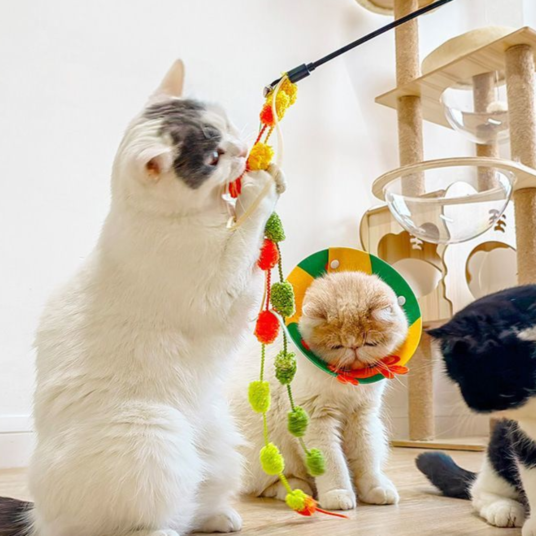 Interactive Cat Toy Teaser Wand with Colorful Pom Poms