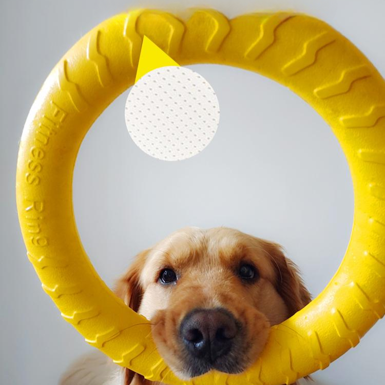 Durable Dog Chew Ring Ball Toy for Interactive Play