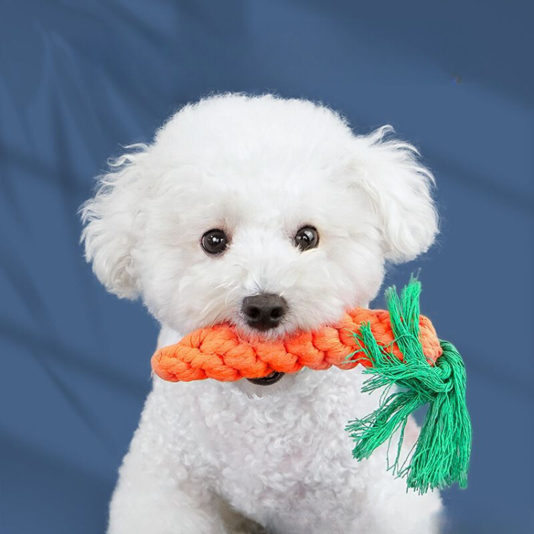 Durable Dog Toy: Interactive Carrot Knot for Chewing Fun