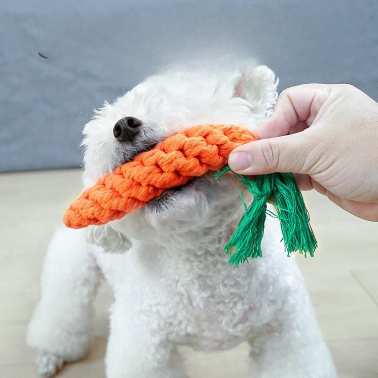 Durable Dog Toy: Interactive Carrot Knot for Chewing Fun